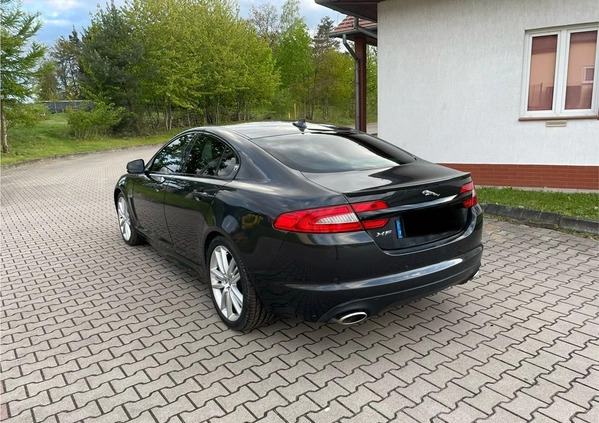 Jaguar XF cena 35900 przebieg: 220000, rok produkcji 2014 z Skawina małe 67